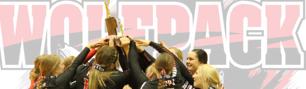 volleyball-trophy